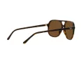 Ray-Ban Bill RB 2198 902/57 60 Men, Women sunglasses