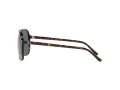 Ray-Ban Bill RB 2198 902/R5 56 Men, Women sunglasses