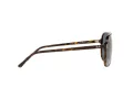 Ray-Ban Bill RB 2198 902/R5 60 Men, Women sunglasses