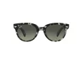 Ray-Ban Orion RB 2199 1333/71 52 Men, Women sunglasses