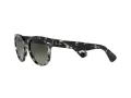 Ray-Ban Orion RB 2199 1333/71 52 Men, Women sunglasses