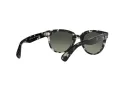 Ray-Ban Orion RB 2199 1333/71 52 Men, Women sunglasses