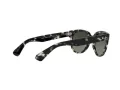 Ray-Ban Orion RB 2199 1333/71 52 Men, Women sunglasses