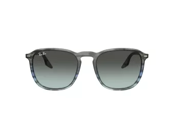 Ray-Ban RB 0RB2203 1391GK 52 Men, Women sunglasses