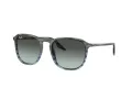 Ray-Ban RB 0RB2203 1391GK 52 Men, Women sunglasses