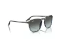 Ray-Ban RB 0RB2203 1391GK 55 Men, Women sunglasses