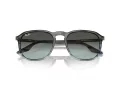 Ray-Ban RB 0RB2203 1391GK 55 Men, Women sunglasses