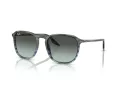 Ray-Ban RB 0RB2203 1391GK 55 Men, Women sunglasses