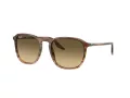 Ray-Ban RB 0RB2203 13920A 52 Men, Women sunglasses