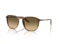 Ray-Ban RB 0RB2203 13920A 52 Men, Women sunglasses