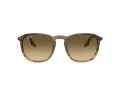Ray-Ban RB 0RB2203 13920A 55 Men, Women sunglasses