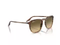 Ray-Ban RB 0RB2203 13920A 55 Men, Women sunglasses