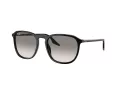 Ray-Ban RB 0RB2203 901/32 52 Men, Women sunglasses