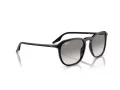 Ray-Ban RB 0RB2203 901/32 52 Men, Women sunglasses