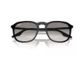 Ray-Ban RB 0RB2203 901/32 52 Men, Women sunglasses