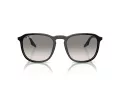Ray-Ban RB 0RB2203 901/32 55 Men, Women sunglasses