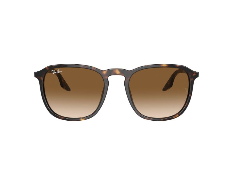 Ray-Ban RB 0RB2203 902/51 55 Men, Women sunglasses