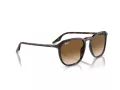 Ray-Ban RB 0RB2203 902/51 55 Men, Women sunglasses