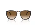 Ray-Ban RB 0RB2203 902/51 55 Men, Women sunglasses
