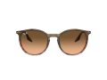 Ray-Ban RB 0RB2204 13953B 54 Men, Women sunglasses