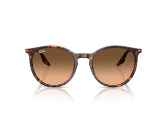 Ray-Ban RB 2204 14293B 51 Men, Women sunglasses