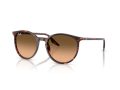 Ray-Ban RB 2204 14293B 51 Men, Women sunglasses