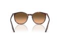 Ray-Ban RB 2204 14293B 51 Men, Women sunglasses