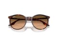 Ray-Ban RB 2204 14293B 51 Men, Women sunglasses