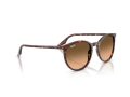Ray-Ban RB 2204 14293B 51 Men, Women sunglasses