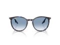 Ray-Ban RB 2204 14303F 54 Men, Women sunglasses