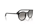 Ray-Ban RB 0RB2204 901/32 54 Men, Women sunglasses
