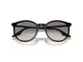 Ray-Ban RB 0RB2204 901/32 54 Men, Women sunglasses
