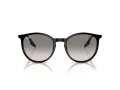 Ray-Ban RB 0RB2204 901/32 54 Men, Women sunglasses