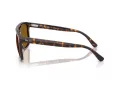 Ray-Ban RB 2213 902/33 55 Men, Women sunglasses