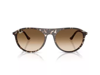 Ray-Ban RB 2215 143151 56 Men, Women sunglasses