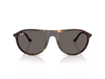 Ray-Ban RB 2215 902/B1 59 Men, Women sunglasses