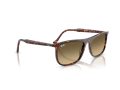 Ray-Ban RB 2216 14290A 61 Men, Women sunglasses