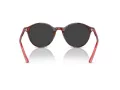 Ray-Ban Bernard RB 2230 141948 53 Men, Women sunglasses