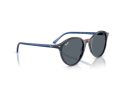 Ray-Ban Bernard RB 2230 1420GK 53 Men, Women sunglasses