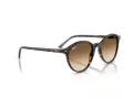 Ray-Ban Bernard RB 2230 902/51 51 Men, Women sunglasses