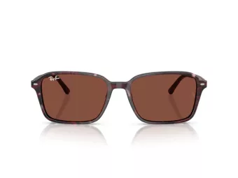 Ray-Ban Raimond RB 2231 1416C5 58 Men, Women sunglasses