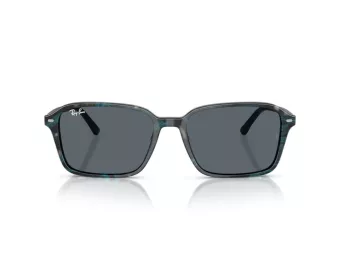 Ray-Ban Raimond RB 2231 1417R5 56 Men, Women sunglasses