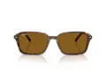 Ray-Ban Raimond RB 2231 141833 56 Men, Women sunglasses