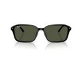 Ray-Ban Raimond RB 2231 901/31 58 Men, Women sunglasses