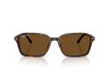 Ray-Ban Raimond RB 2231 902/57 58 Men, Women sunglasses