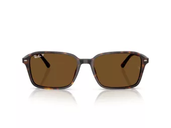 Ray-Ban Raimond RB 2231 902/57 58 Men, Women sunglasses