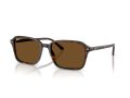 Ray-Ban Raimond RB 2231 902/57 58 Men, Women sunglasses