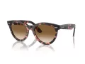 Ray-Ban Wayfarer Way RB 2241 133451 54 Men, Women sunglasses