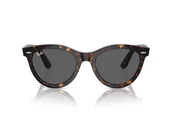 Ray-Ban Wayfarer Way RB 2241 902/B1 54 Men, Women sunglasses