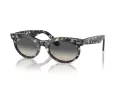 Ray-Ban Wayfarer Oval RB 2242 133371 53 Men, Women sunglasses